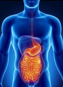 Small Intestinal Bacterial Overgrowth