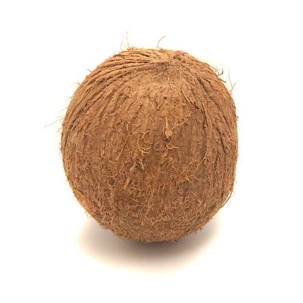coconut oil science