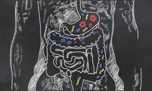 probiotics for c diff