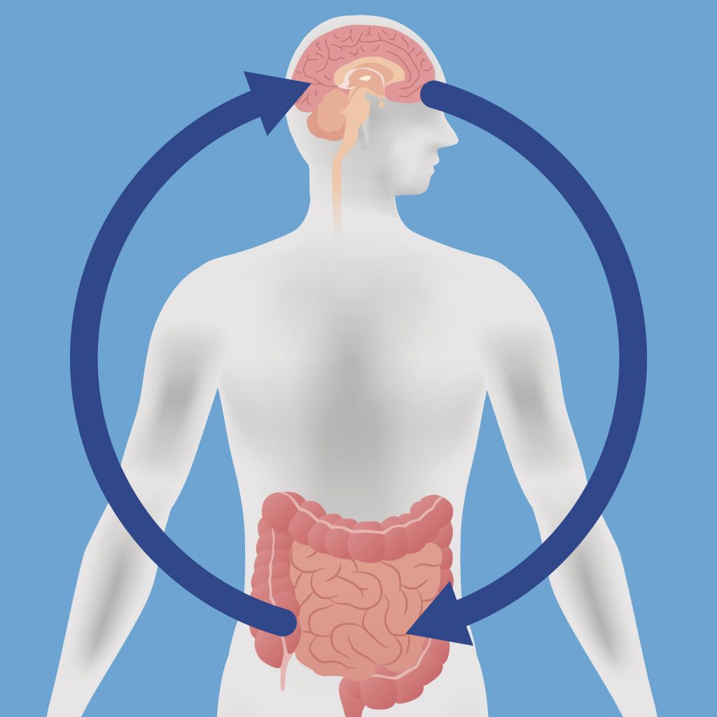 Probiotics and Mood | gut brain connection | Bifidobacterium longum benefits | psychobiotics