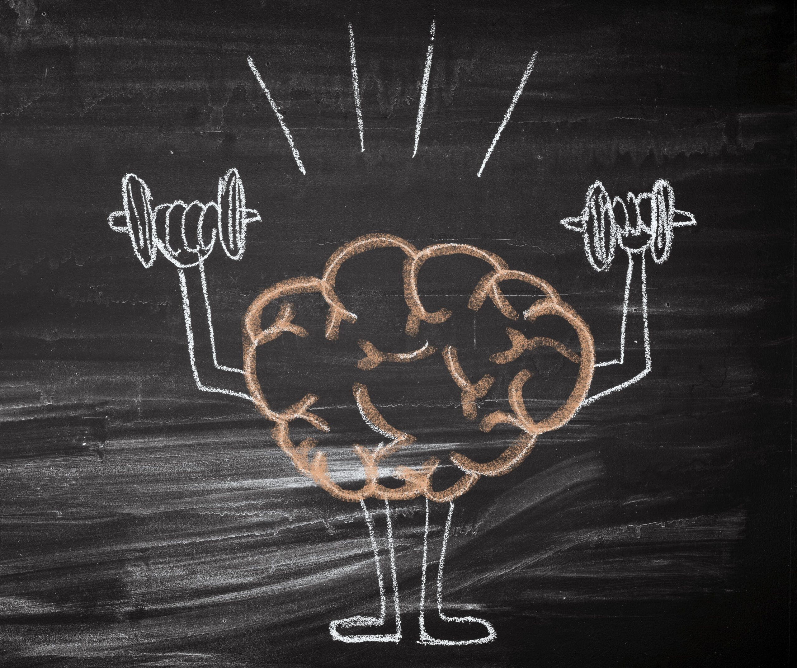 creatine monohydrate supplement benefits