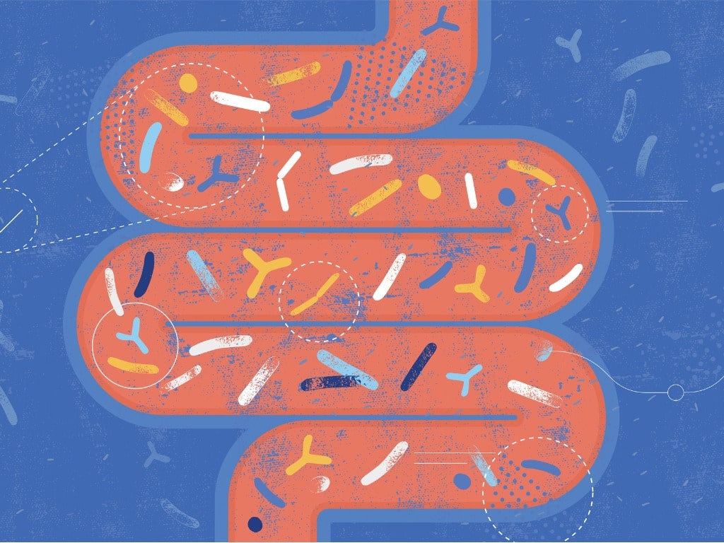 probiotics and gut health