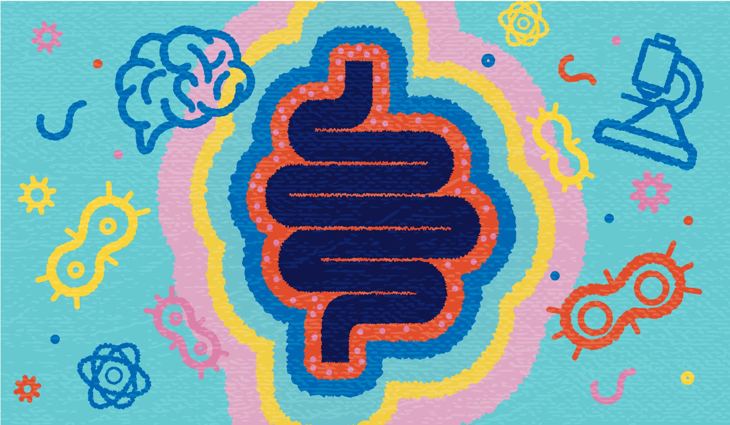 Illustration of the gut and its microbiome with benefits for brain and whole body health through postbiotics