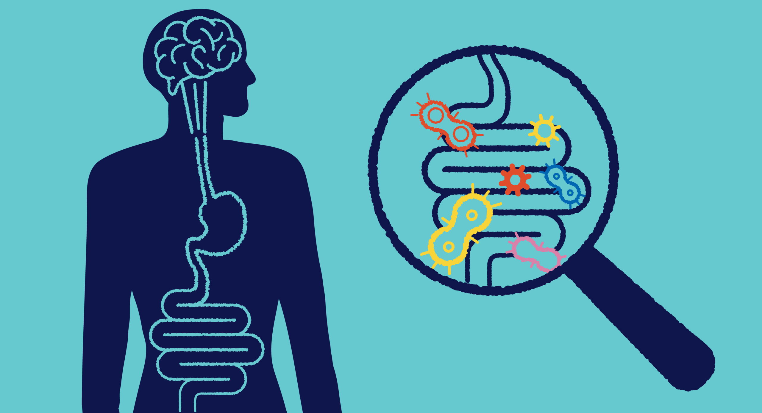 bifidobacteria longum 1714 psychobiotic